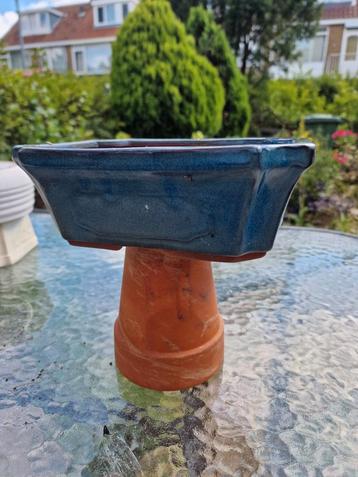 Bonsaipot/bonsaischaal  beschikbaar voor biedingen