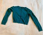 PETIT LOUIE vestje maat 134/140, groen glimmend, Ophalen of Verzenden, Zo goed als nieuw, Meisje, Trui of Vest