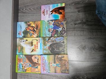 Verschillende soorten paarden boeken beschikbaar voor biedingen