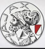 Seizoenskaart Fside 2e helft seizoen 25-26, Ophalen of Verzenden, Gebruikt