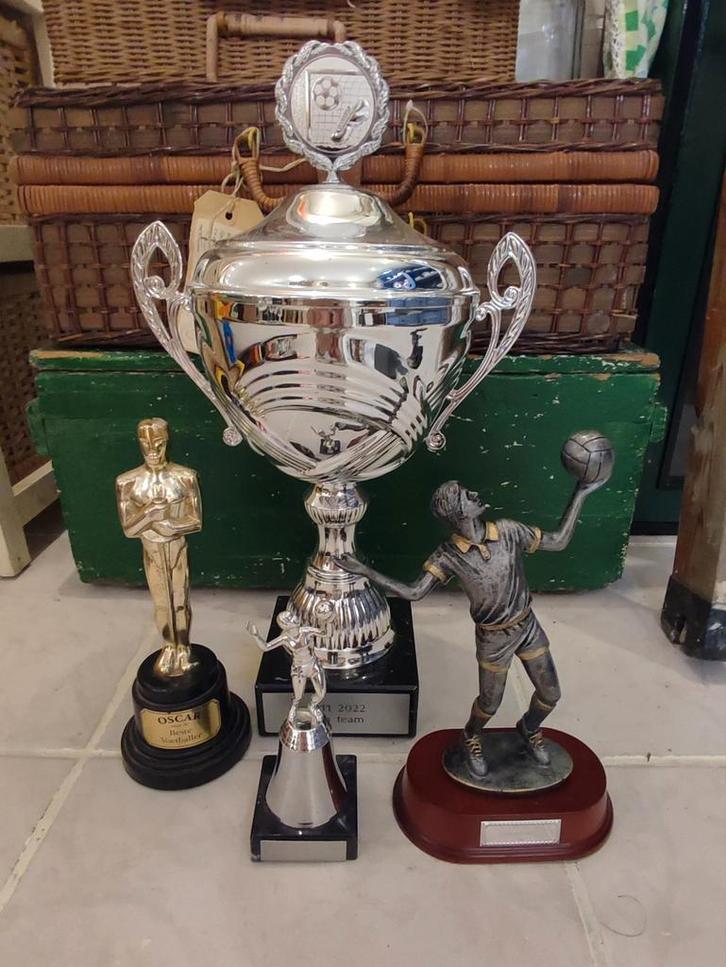Wedstrijd trofee, Grote Prijsbeker, Sport en Fitness, Overige Sport en Fitness, Ophalen of Verzenden