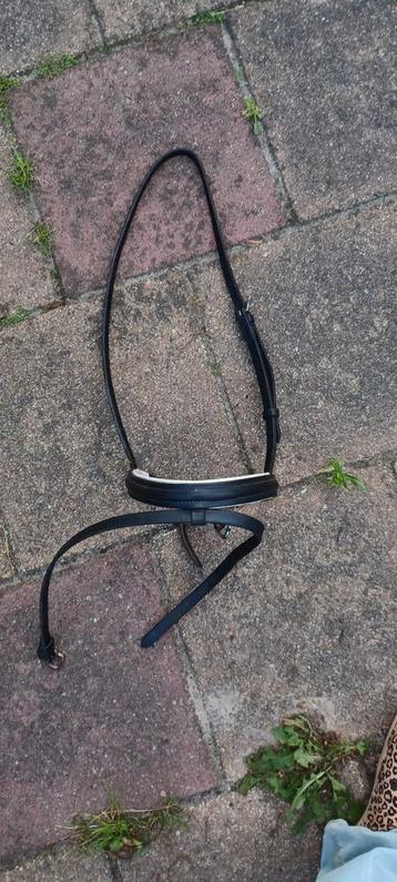Neusriem maat cob beschikbaar voor biedingen