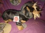 Hermann Teddy knuffel Teckel, Ophalen of Verzenden, Zo goed als nieuw, Wild dier, Beeldje of Figuurtje