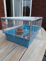 Hamsterhok + toebehoren, Dieren en Toebehoren, Minder dan 75 cm, Zo goed als nieuw, Hok, Hamster