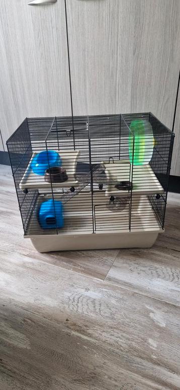 Hamsterkooi voor dwerghamster met toebehoren beschikbaar voor biedingen