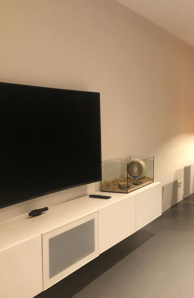 BESTA kasten wit - tv meubel, Huis en Inrichting, Kasten | Televisiemeubels, Gebruikt, Minder dan 100 cm, 150 tot 200 cm, 25 tot 50 cm