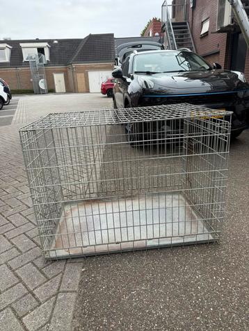 Grote hondenbench XXXL beschikbaar voor biedingen