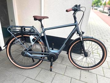 UITVERKOOP! Pegasus & Levit E-bikes beschikbaar voor biedingen