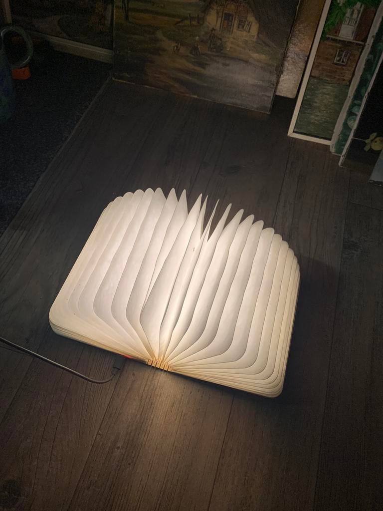 Unieke tafellamp boeklamp, Ophalen of Verzenden, Minder dan 50 cm