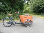 Babboe Curve, Fietsen en Brommers, Fietsen | Bakfietsen, Ophalen, Gebruikt, 4 kinderen of meer