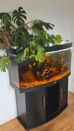 Aquarium juwel 120cm, Dieren en Toebehoren, Ophalen, Zo goed als nieuw, Gevuld zoetwateraquarium