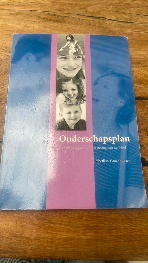 L.A. Groenhuijsen - Ouderschapsplan, Boeken, Politiek en Maatschappij, Zo goed als nieuw, Maatschappij en Samenleving, Nederland