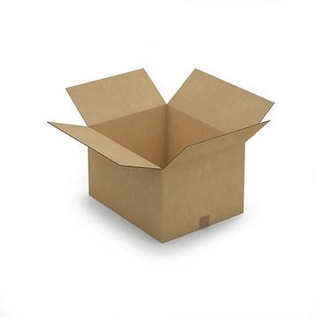 RAJA Dubbelgolfkarton Doos 10 stuks 50x40x30cm beschikbaar voor biedingen