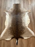 Winter Damhert vacht, Ophalen of Verzenden, Zo goed als nieuw, Rechthoekig, 200 cm of meer