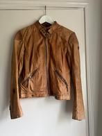 Super cute stoere leren jas van het merk Gypsy. Cognac kleur, Ophalen of Verzenden, Gedragen, Maat 36 (S), Overige kleuren