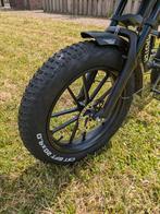 ESMaster Ghost 250 Fatbike (Nederlands merk), Fietsen en Brommers, Ophalen, Zo goed als nieuw