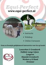 Gediplomeerd instructrice voor les aan huis, Diensten en Vakmensen, Dieren | Paarden | Verzorging, Oppas en Les, Ruiter of Bijrijder