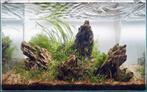 Aquarium stenen, Ophalen of Verzenden, Nieuw, Plant(en), Steen of Hout
