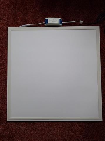 Raymax led panelen.  beschikbaar voor biedingen