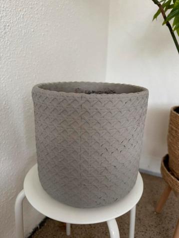 Bloempot grijs met webbing patroon beschikbaar voor biedingen
