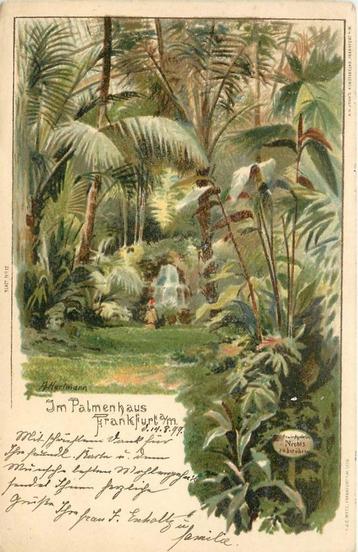 (379-014-027) Frankfurt a M Im Palmenhaus beschikbaar voor biedingen