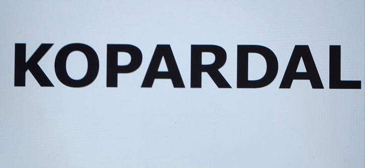 Gratis KOPARDAL hoofdstuk, Huis en Inrichting, Slaapkamer | Bedden, Gebruikt, Tweepersoons, 160 cm, Stof, Grijs, Ophalen