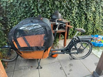 Regenhoes Babboe city beschikbaar voor biedingen