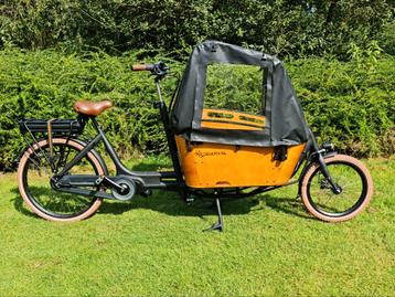 Regentent Vogue Carry/Superior 2 beschikbaar voor biedingen