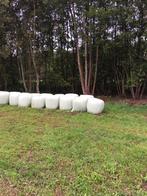 MIDI balen, Dieren en Toebehoren, Ophalen, Vee