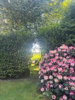 Te koop! Prachtige chalet op Witterzomer, Caravans en Kamperen, Stacaravans