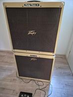 Peavey Classic 50 Top + 115E Cabinet, Muziek en Instrumenten, Versterkers | Bas en Gitaar, Ophalen, Gebruikt, Gitaar, 50 tot 100 watt