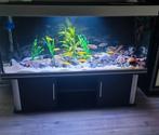 Trofis aquarium 400 liter – alleen bak + laag meubel, Dieren en Toebehoren, Ophalen, Leeg aquarium