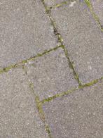 Tuintegels wildverband, Tuin en Terras, Tegels en Klinkers, Ophalen, Gebruikt, 10 m² of meer, Beton