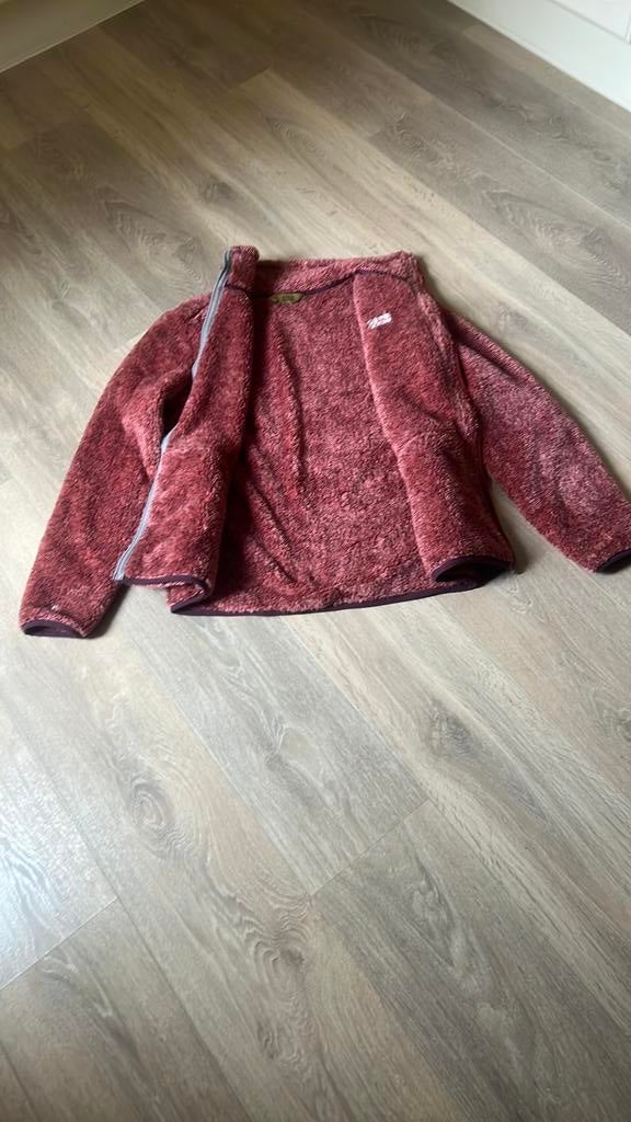 Dames vest, Ophalen of Verzenden, Zo goed als nieuw, Maat 42/44 (L), Overige kleuren