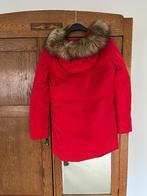 Damesjas Tommy Hilfiger, Kleding | Dames, Jassen | Winter, Ophalen of Verzenden, Zo goed als nieuw, Maat 34 (XS) of kleiner, Rood