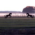 Pensionstalling en Trainingsstal, Weidegang, 1 paard of pony