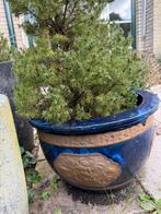 Grote bloempot, Tuin en Terras, Bloembakken en Plantenbakken, Ophalen, Steen, Rond, Zo goed als nieuw