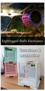 Terrariums met LED & warmtemat voor o.a. springspinnen, Dieren en Toebehoren, Insecten en Spinnen, Spin of Schorpioen