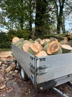 Mooie blokken essen of eiken hout, Tuin en Terras, Haardhout, Minder dan 3 m³, Ophalen, Essenhout, Blokken