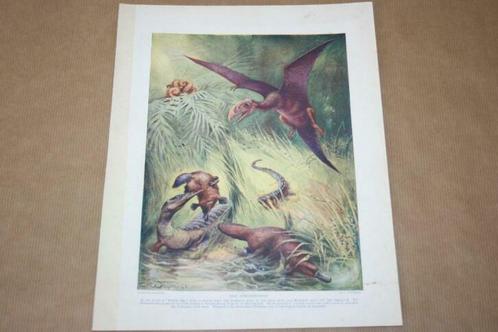 Antieke kleurenlitho - Dimorphodon (Pterosaurus) - Ca 1900!!, Antiek en Kunst, Kunst | Litho's en Zeefdrukken, Ophalen of Verzenden