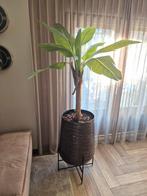 Mooie bananenboom (kunstplant) in luxe pot, Ophalen, Overige soorten, In pot, 150 tot 200 cm