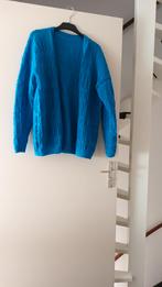 .mooi hand gebreid vest, Ophalen of Verzenden, Zo goed als nieuw, Maat 42/44 (L)