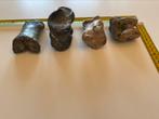Gefossiliseerde wervel botten (wisent bison), Ophalen of Verzenden, Mineraal