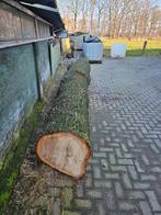 Boomstam, Minder dan 3 m³, Ophalen of Verzenden