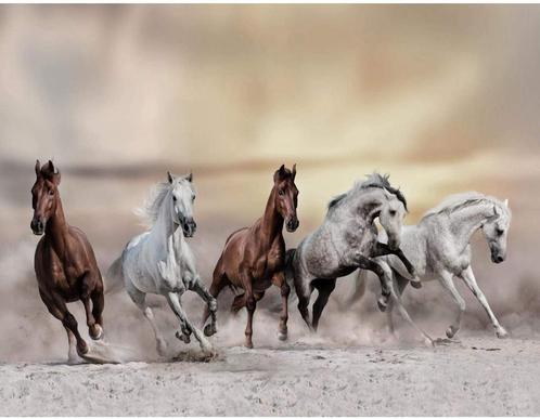 181 Witte en Bruine Paarden Vlies Fotobehang 350x250cm Nieuw, Huis en Inrichting, Stoffering | Behang, Wit, Zwart, Beige, Bruin