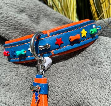 Halsband koningsblauw leer oranje nappa en botjes deco 32-40 beschikbaar voor biedingen