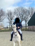 Mooi witte  elegante tuigpaard inruil mogelijk!, Dieren en Toebehoren, Merrie, Gechipt, Zadelmak, 11 jaar of ouder