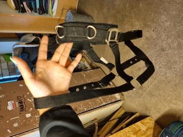 Kaptoom halster maar cob/full beschikbaar voor biedingen