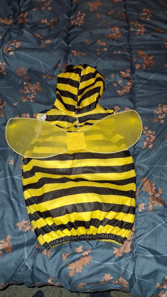 Leuk bijenpak voor carnaval - kindermaat, Ophalen, Zo goed als nieuw, 104 of kleiner, Jongen of Meisje