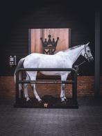MK Horsepower plate, MK trilplaat voor paarden €5750,-!
